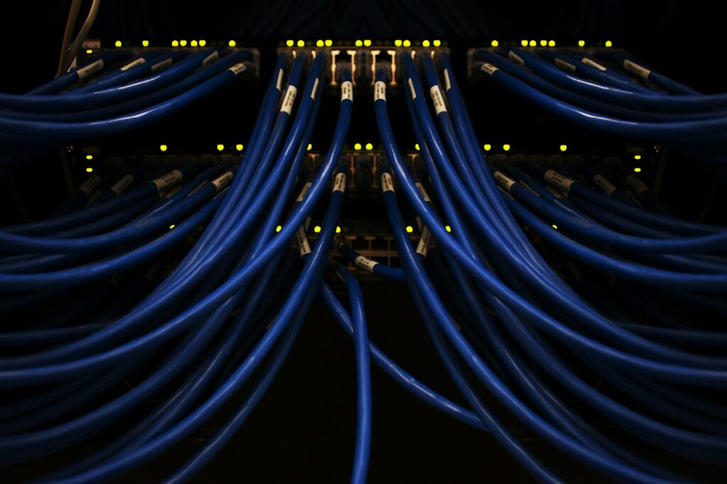 Bundles of blue network cables connected to rack equipment
